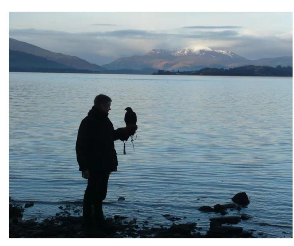 Lodge 14, Cameron House Lodges, Loch Lomond Alexandria Bagian luar foto